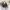 Luxury Casual Handbag Wanita brown black photo 2