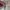 New Balance Streetwear Casual Sneakers Pria white photo 3