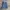 Dickies Skater Casual Casual pants Pria blue photo 1