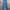 Dickies Skater Casual Casual pants Pria blue photo 2