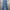 Dickies Skater Casual Casual Pants Pria Blue
