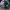 Dickies Skater Casual Casual pants Pria green blue photo 5
