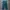 Dickies Skater Casual Casual pants Pria green blue photo 3