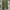 Casual Casual pants Pria green photo 1