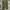 Casual Casual Pants Pria Green