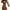 Fashion Nova Casual Going out dress Wanita brown photo 1