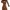Fashion Nova Casual Going Out Dress Wanita Brown