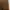 Fashion Nova Casual Going out dress Wanita brown photo 3