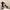 Nike Air Jordan Casual Sneakers Pria white black photo 1