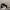 Nike Air Jordan Casual Sneakers Pria white black photo 2