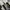 Converse Emo Casual Sneakers Wanita white black photo 6