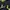 Nike Y2K Sportswear Track jacket Pria black yellow photo 4