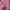 Batik Pakaian Nasional Wanita pink photo 4