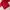 Puma Streetwear Sportswear Windbreaker Pria red photo 7