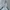 Adidas Streetwear Sportswear Windbreaker Wanita white photo 2