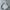 Adidas Streetwear Sportswear Windbreaker Wanita White