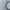 Adidas Streetwear Sportswear Windbreaker Wanita white photo 3