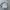 Adidas Streetwear Sportswear Windbreaker Wanita white photo 5