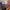 Japanese brand Avant Garde Casual Capes & poncho Pria multicolor cream photo 5