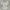 Vintage Y2K Shirt Wanita white photo 2