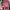 Michael Kors Minimalist Reworked Bags & purse Wanita burgundy photo 4