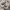 New Balance Sportswear Casual Sneakers Pria white tan photo 2
