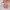 Balenciaga Casual Messenger bags & Satchel Wanita pink photo 7