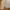 Vintage Bomber jacket Pria cream photo 5