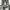 Balmain Streetwear Biker Dungaree Pria green photo 3