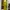 Casual Prom dress Wanita green photo 2