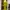 Casual Prom Dress Wanita Green