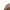 Miu Miu Luxury Makeup bag Wanita brown photo 8
