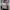 Vintage Coquette Sweatshirt Wanita white cream photo 1
