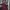 Vintage Shirt Wanita burgundy photo 1