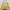 Gucci Vintage Handbag Wanita cream photo 1
