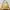Gucci Vintage Handbag Wanita cream photo 5