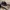 Nike Air Jordan Streetwear Sneakers Pria black photo 3