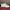 VANS Skater Sneakers Pria White