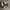Michael Kors Fulton Flats photo 1