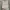 Champion Streetwear Y2K Sweatshirt Pria gray photo 3