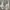 Champion Streetwear Y2K Sweatshirt Pria gray photo 2