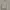 Champion Streetwear Y2K Sweatshirt Pria gray photo 1