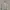 Champion Streetwear Y2K Sweatshirt Pria Gray