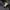 Dickies Casual Formal pants Pria navy photo 3