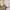 Y2K Midi dress Wanita cream photo 3