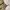 Y2K Midi Dress Wanita Cream