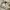 Y2K Midi dress Wanita cream photo 6