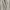 COMME des GARÇONS Streetwear Avant Garde Casual shirt Pria cream photo 4