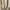 COMME des GARÇONS Streetwear Avant Garde Casual shirt Pria cream photo 2