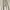Minimalist Casual Casual pants Pria tan cream photo 1